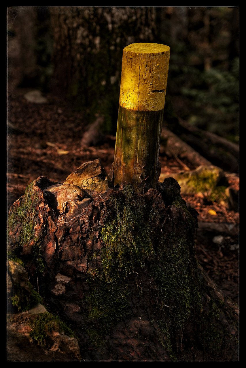 1000001849.jpg 1000001849.jpg