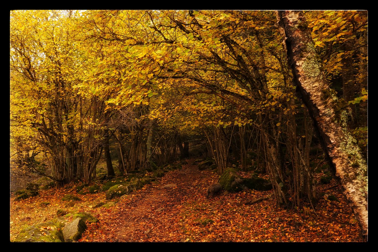 1000001851.jpg 1000001851.jpg