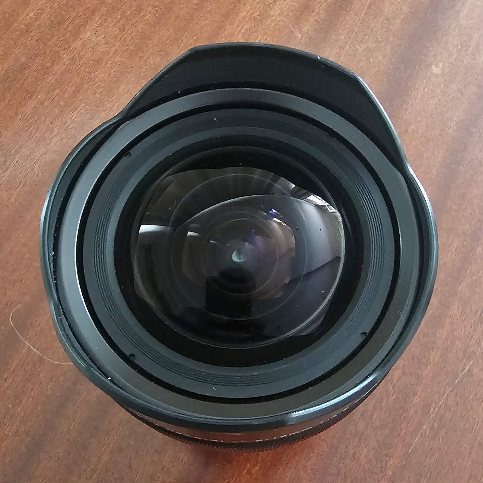 1000408411.jpg
