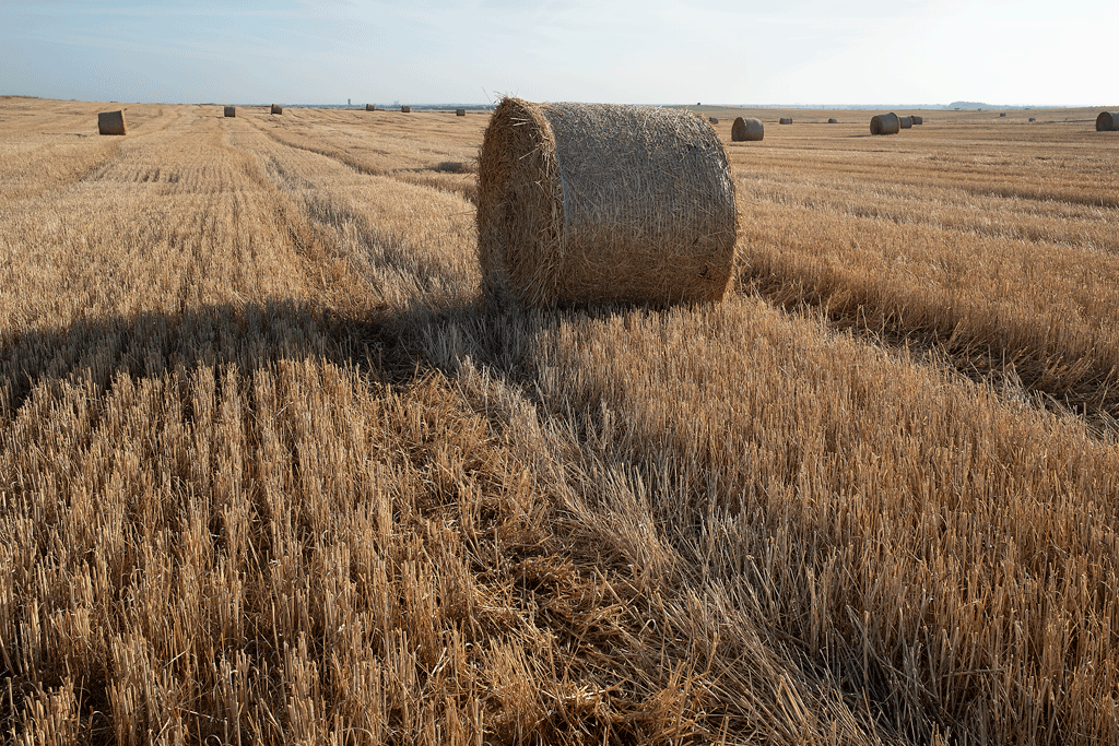 Paisaje de tierra de campos.