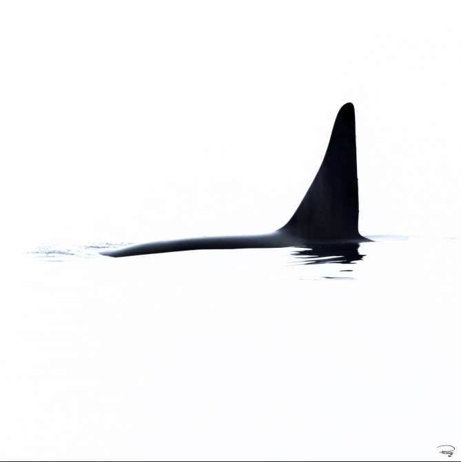 1706576527376.png