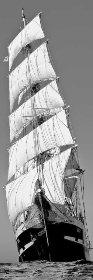 1706577011793.png