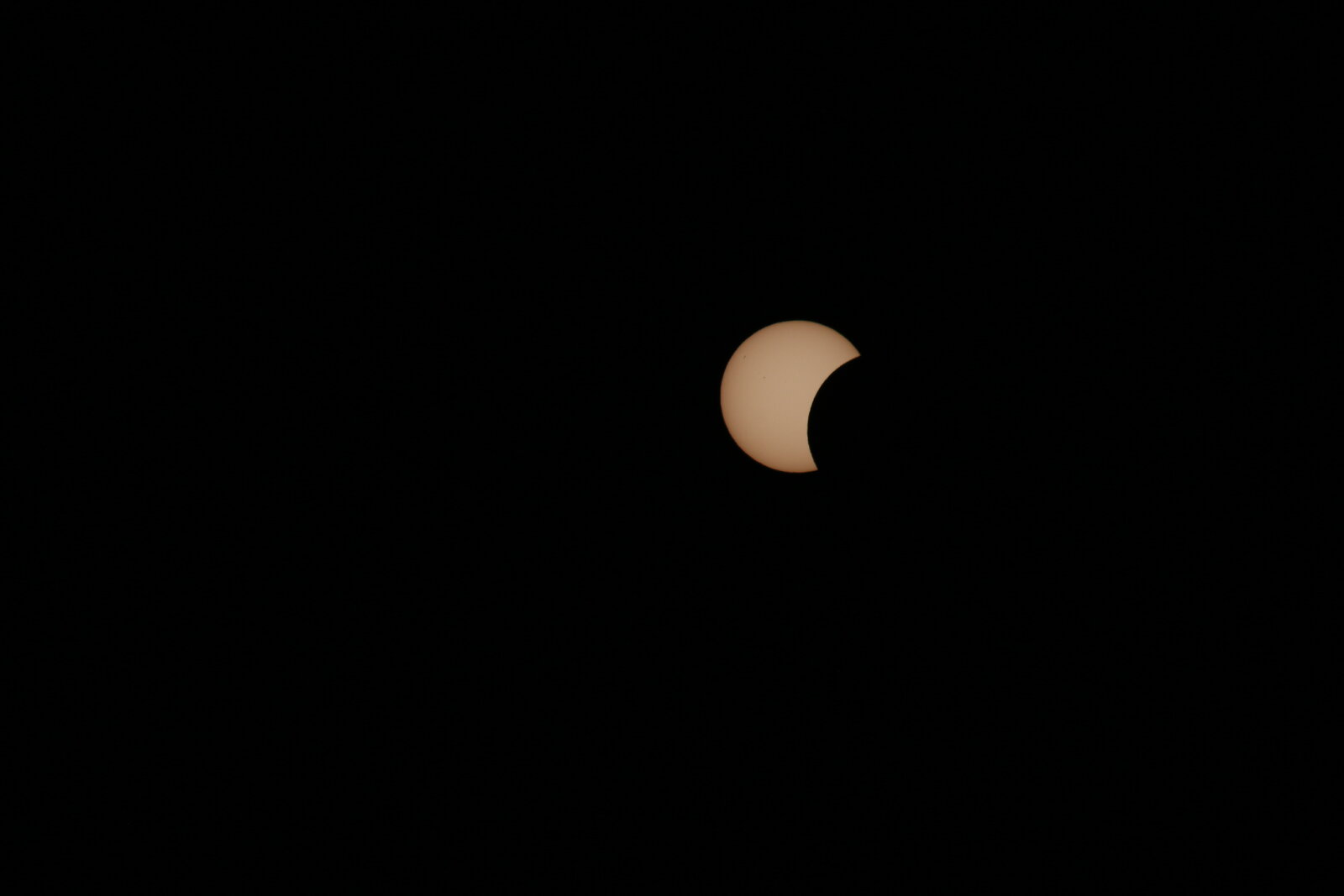 1786640063606.jpeg
