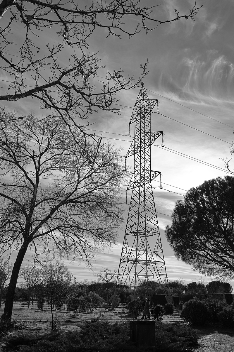 Arañando el cielo