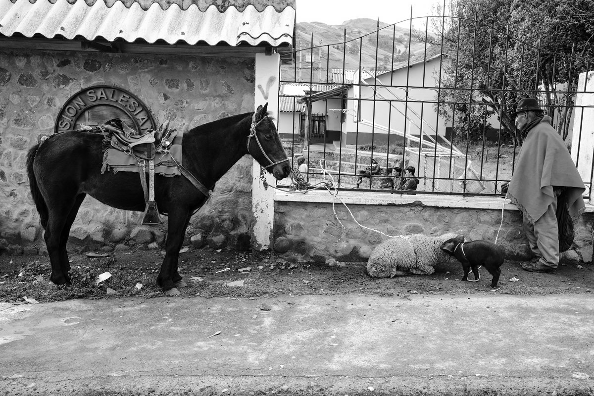 Historias del Ecuador VII