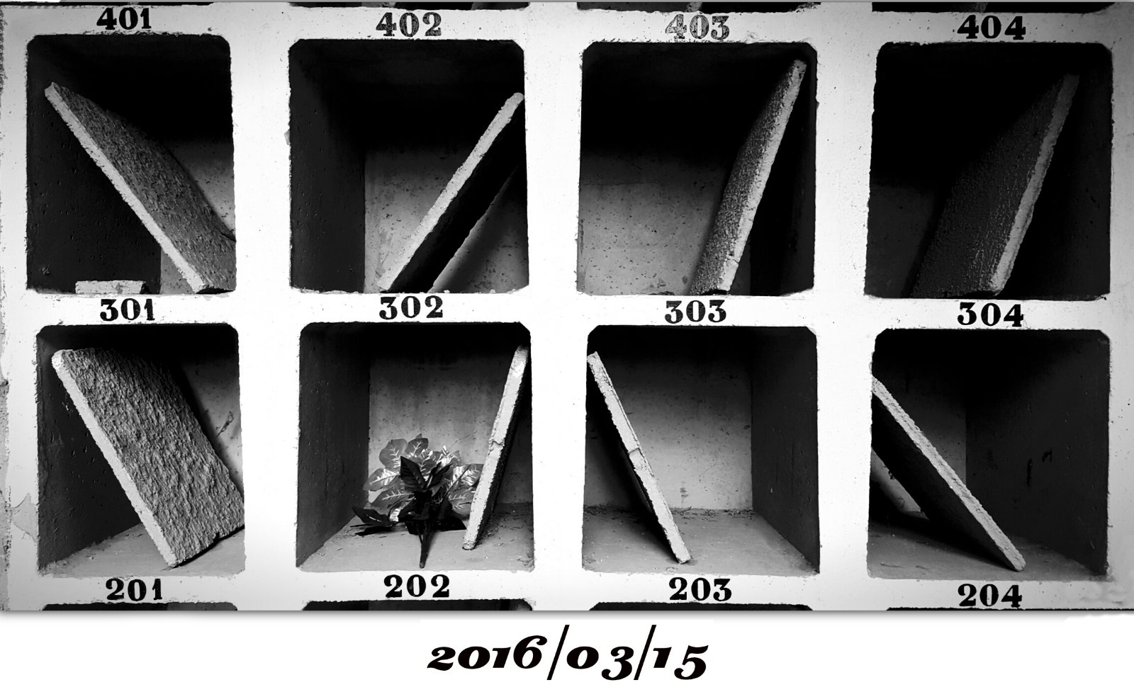 2016-03-15.jpeg