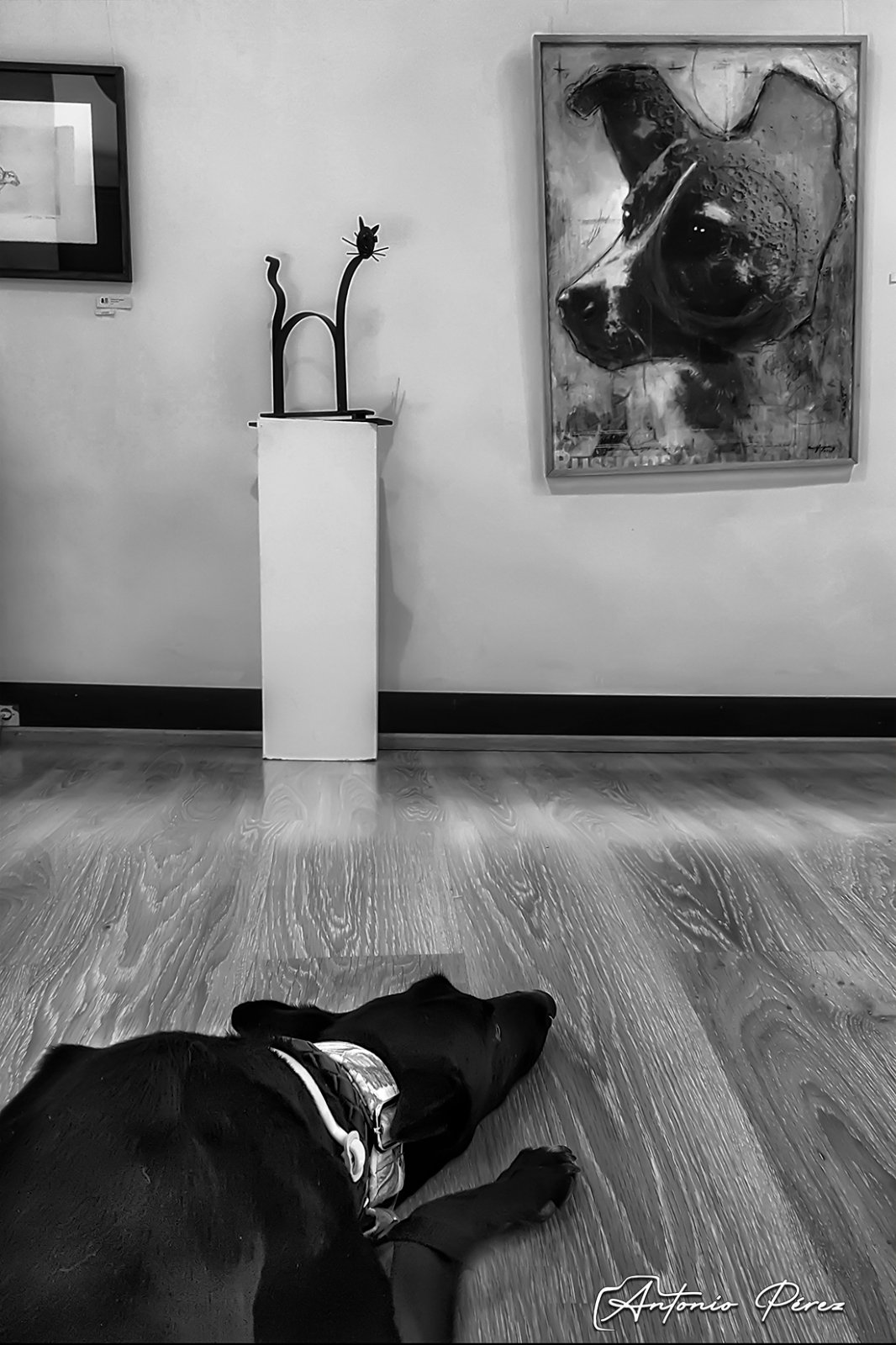 20160501_180239 copia 2.jpg