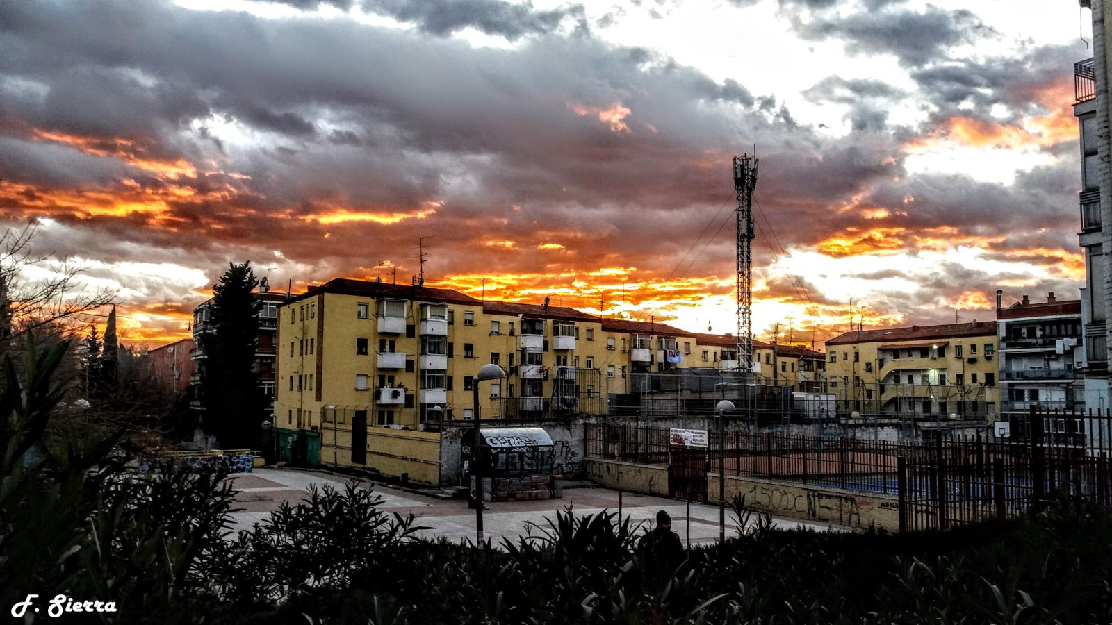 20190124_182631.jpg