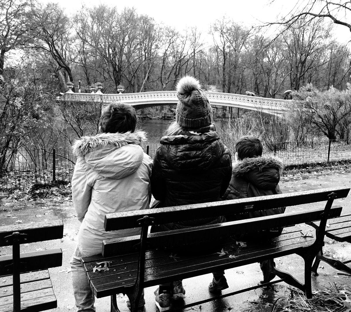 Tarde de invierno en Central Park