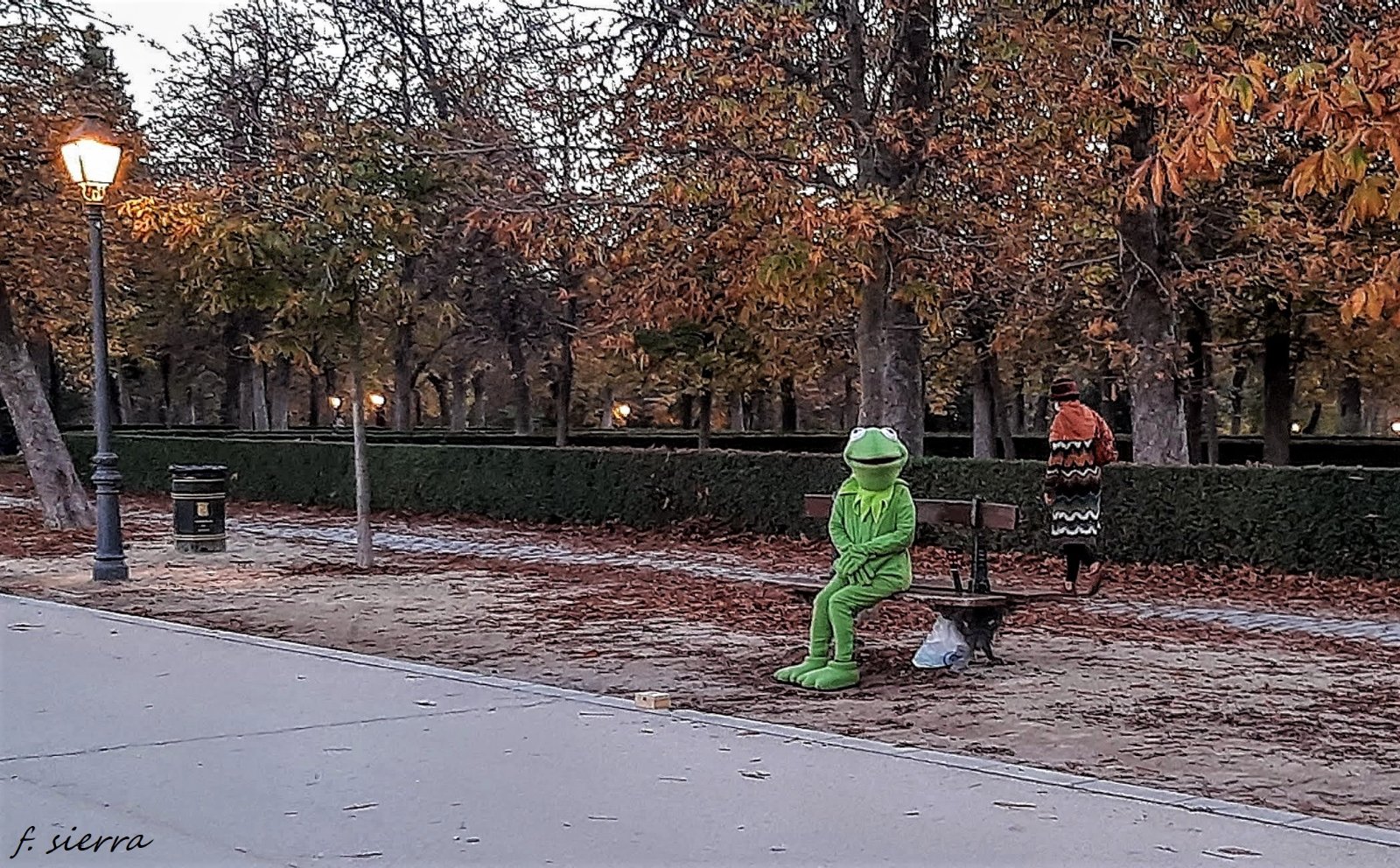 20201122_180123.jpg