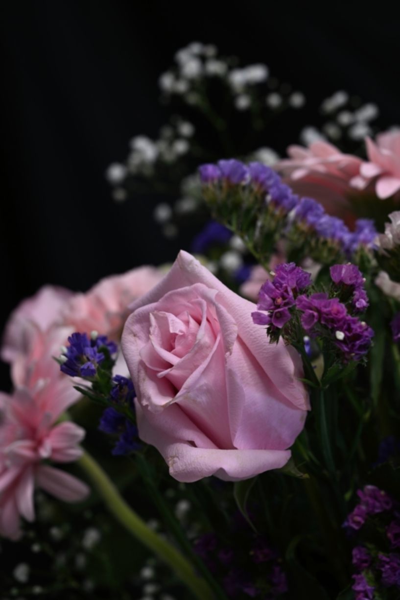 2023-06-05@110358_000RAMOS DE FLORES-Resize-Resize-Resize.jpg