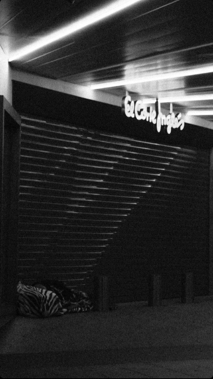 20231210_003551.jpg 20231210_003551.jpg