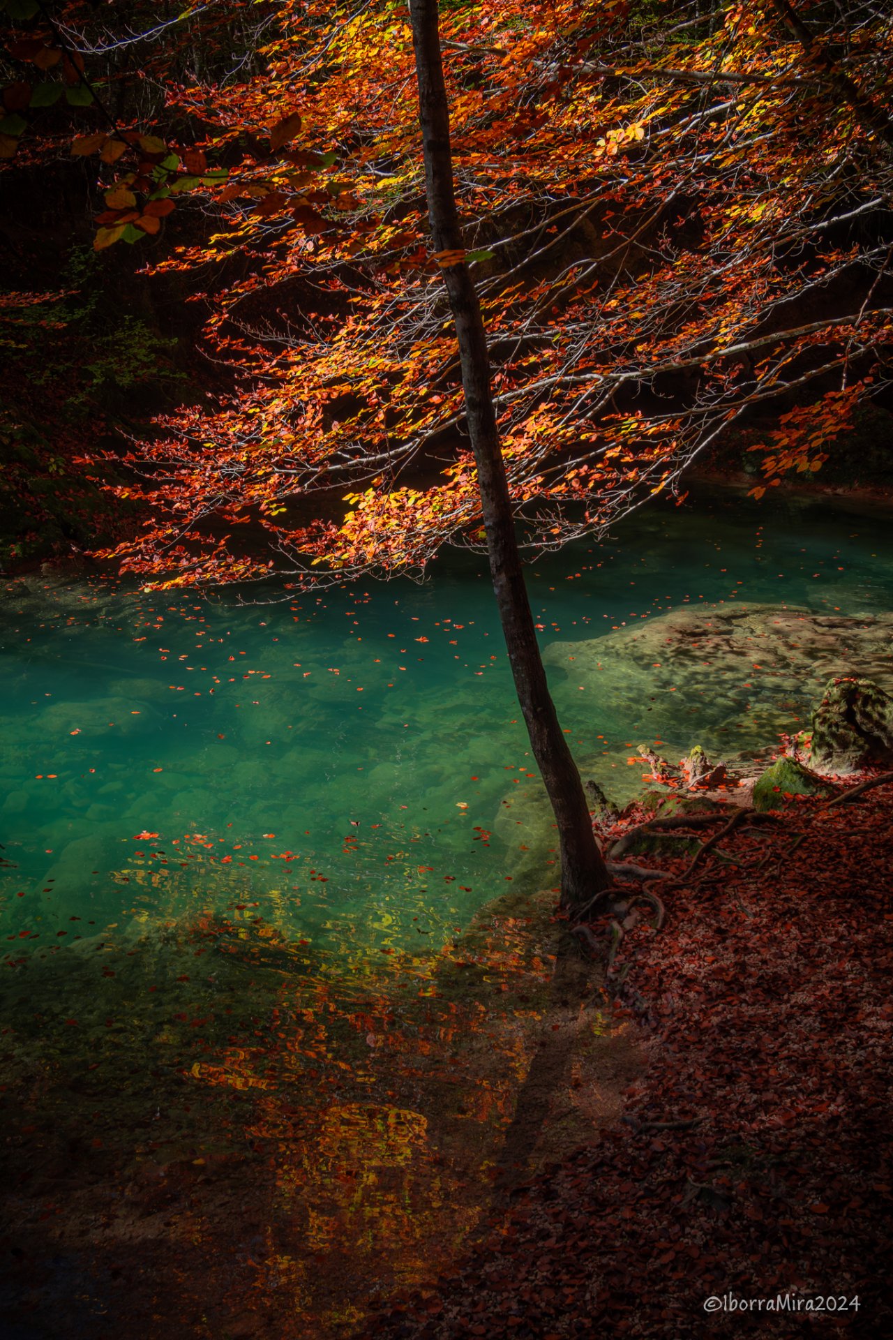 Urederra (Agua Hermosa)