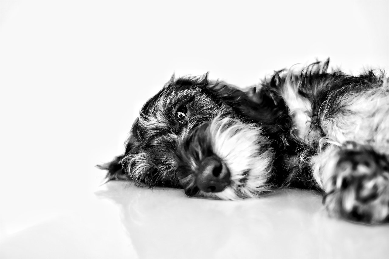 2024_0707_12405300-01.jpeg 2024_0707_12405300-01.jpeg