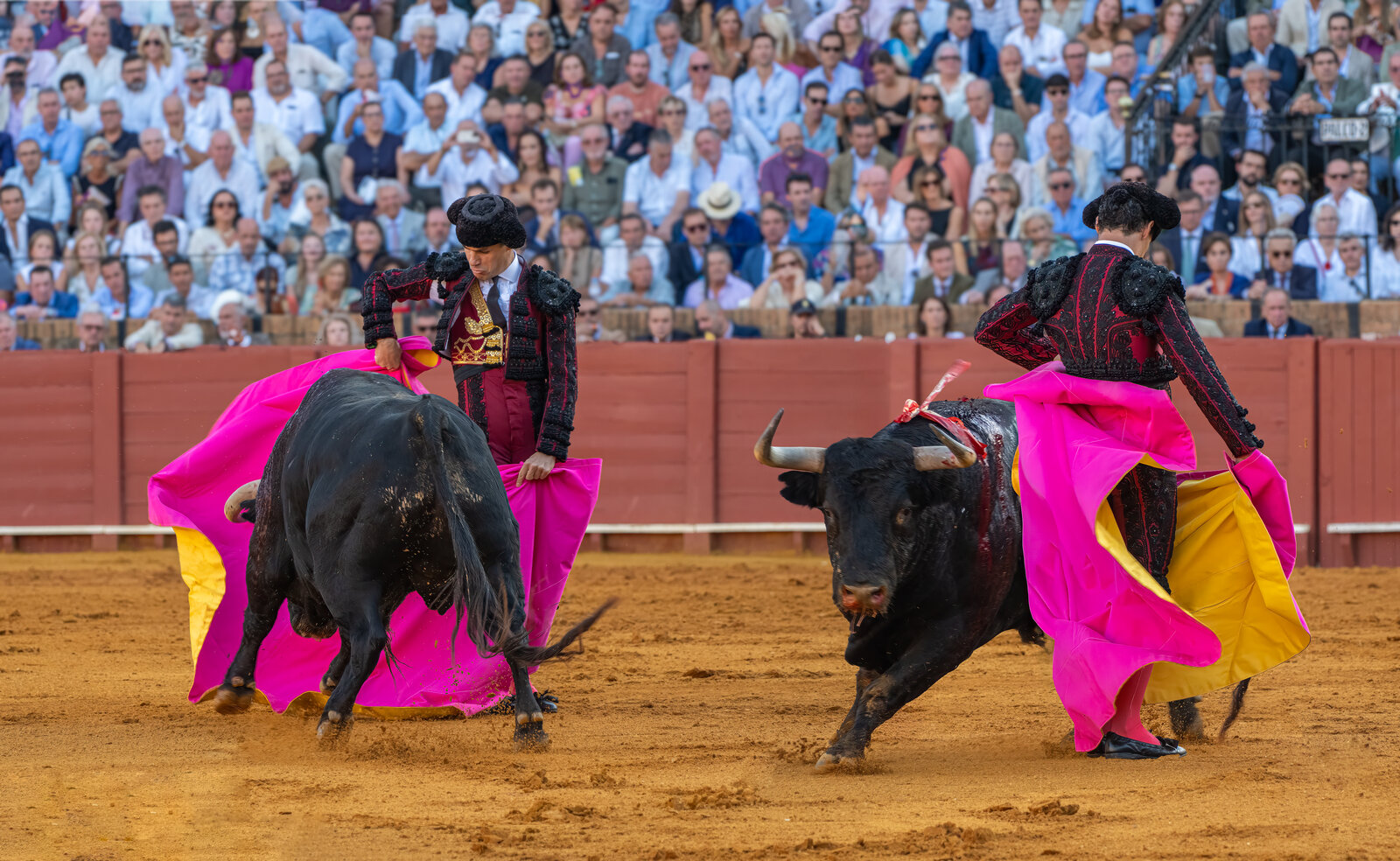 20250926@190504_200TOROS  DE VICTORIANO DEL RIO EN LA MAESTRANZA -   QUITE DE PABLO AGUADO DAV...jpg