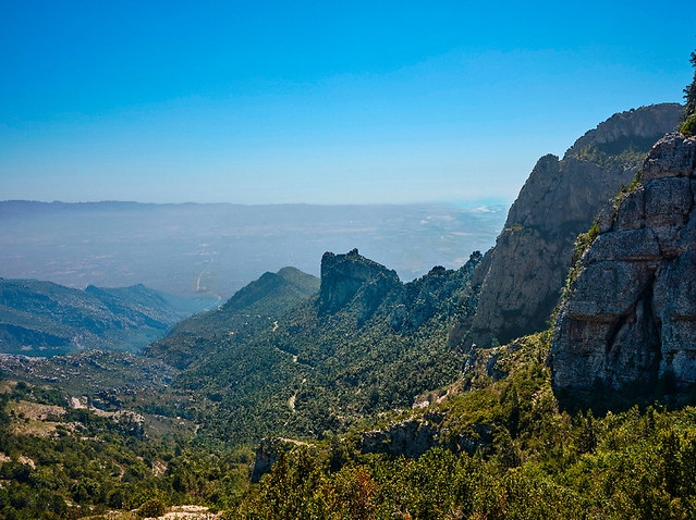 2026-06-11_11-15-52.jpg