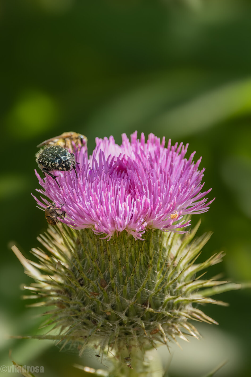 2026_05_20 El Prat43.jpeg