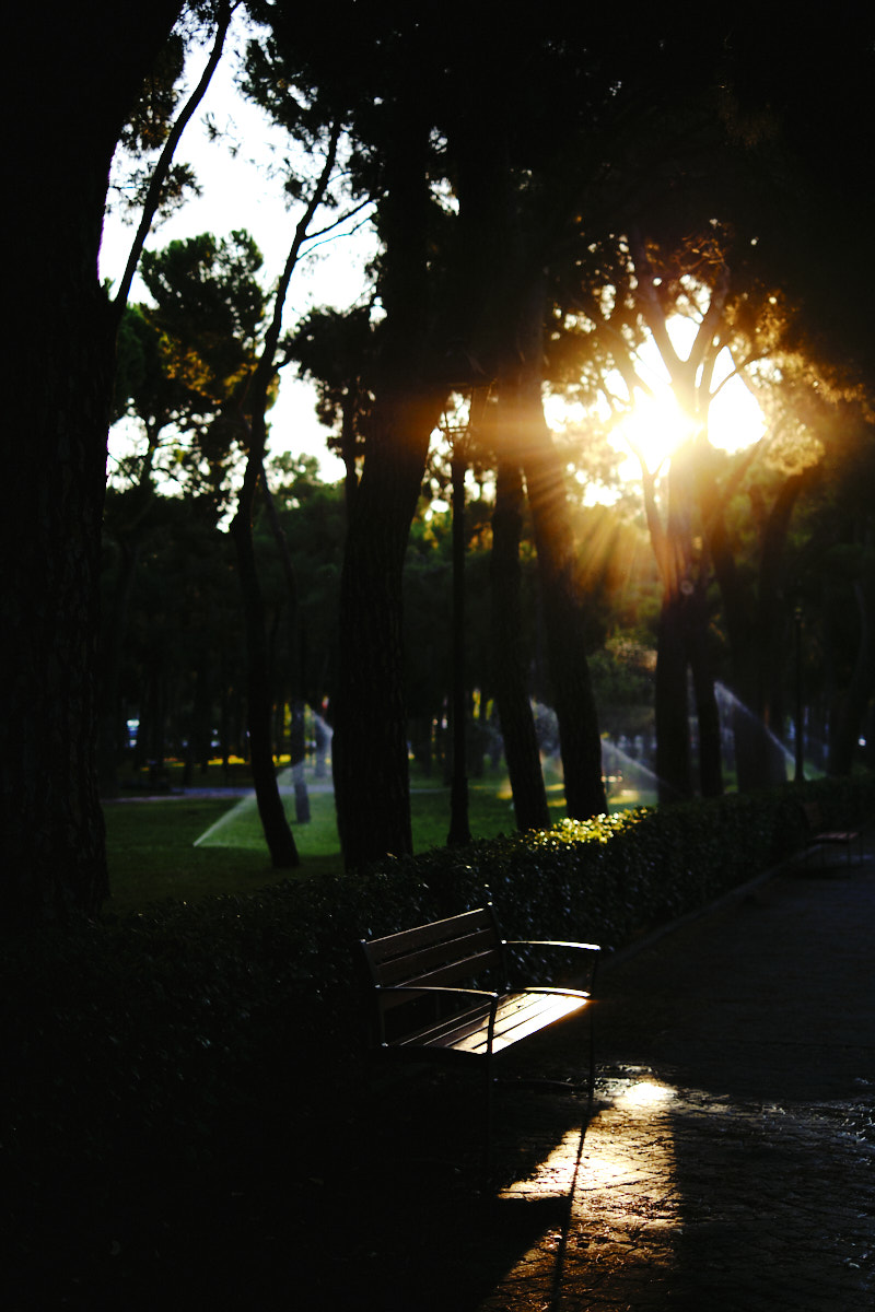 Un sitio donde reposar