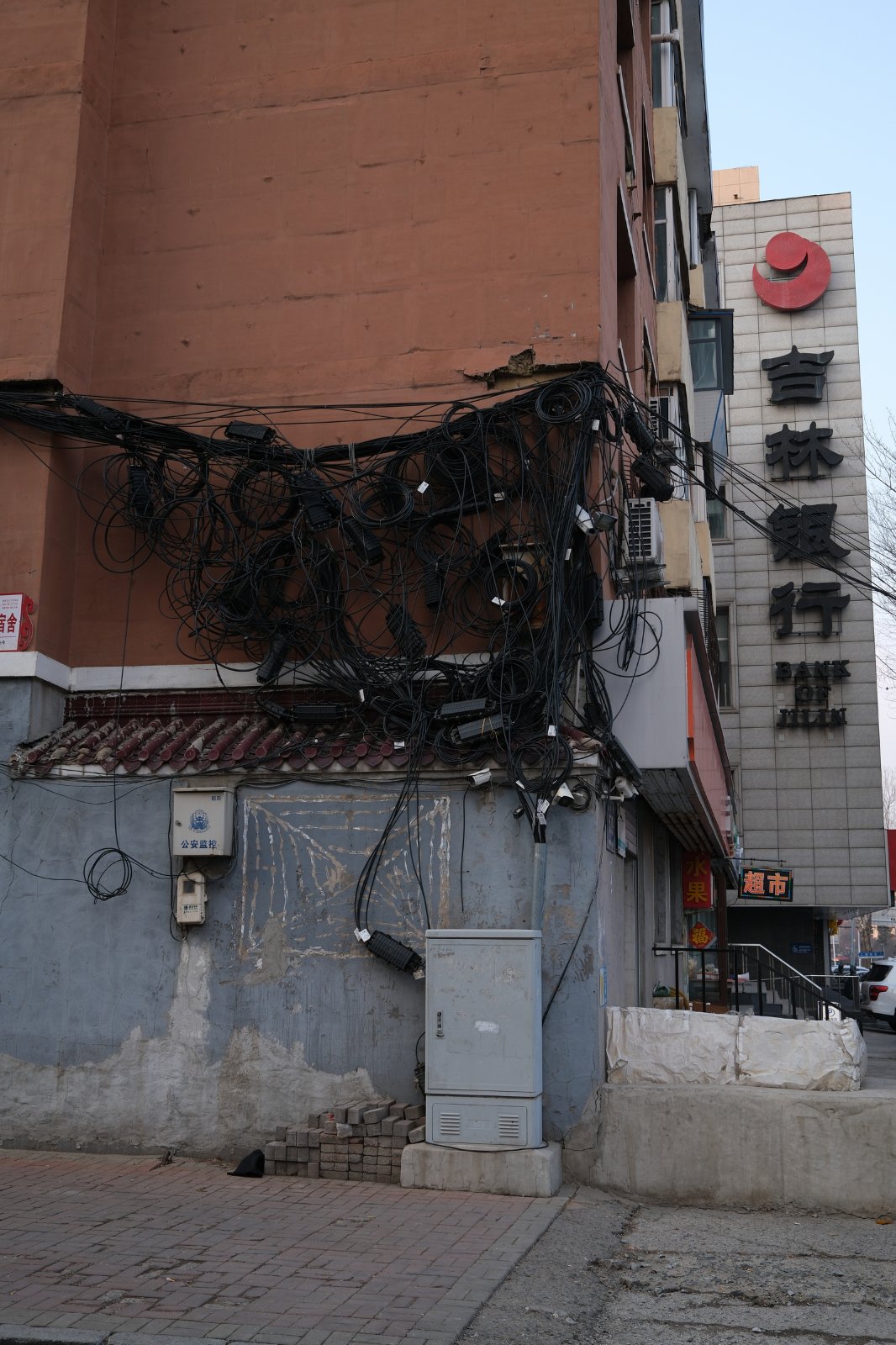 250319 paseos por Changchun - China 074rsz.JPG