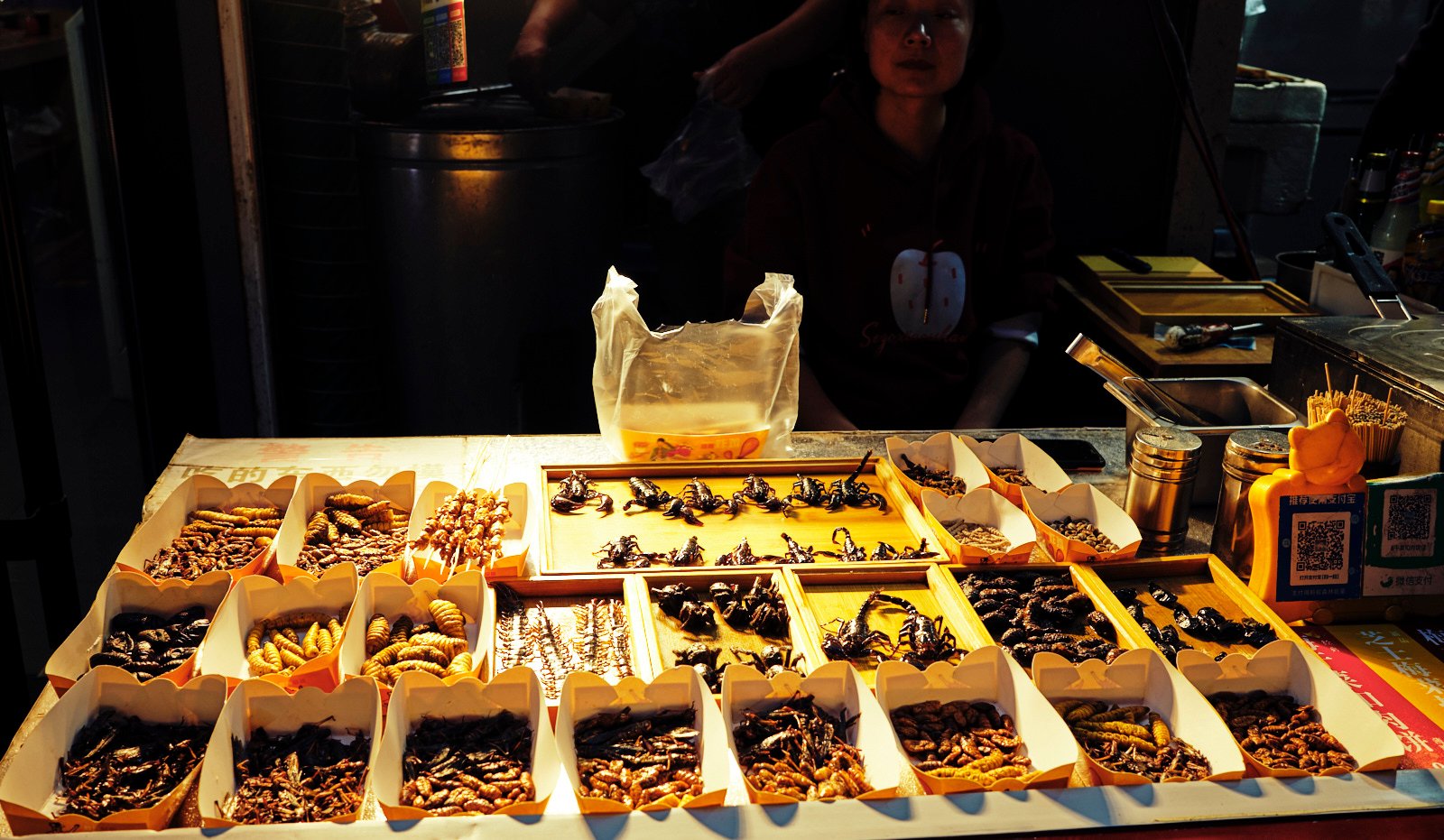 250511 de paseos por Changchun - China 176_1.jpg