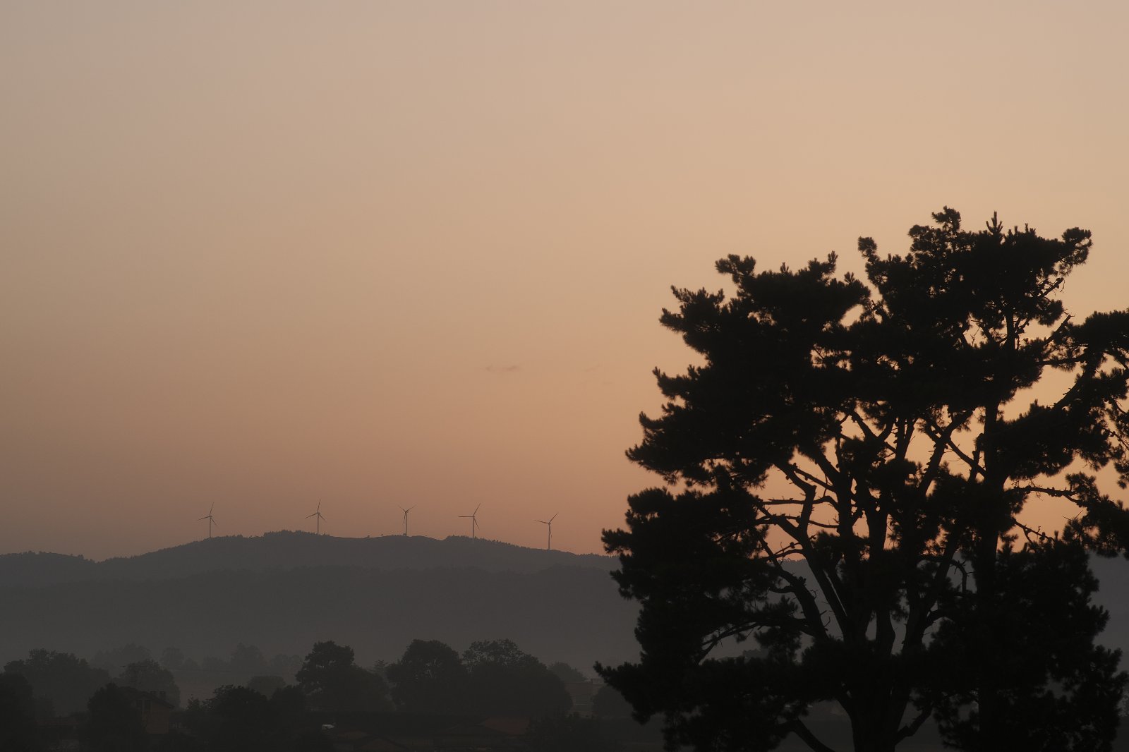 32. _X300799.JPG