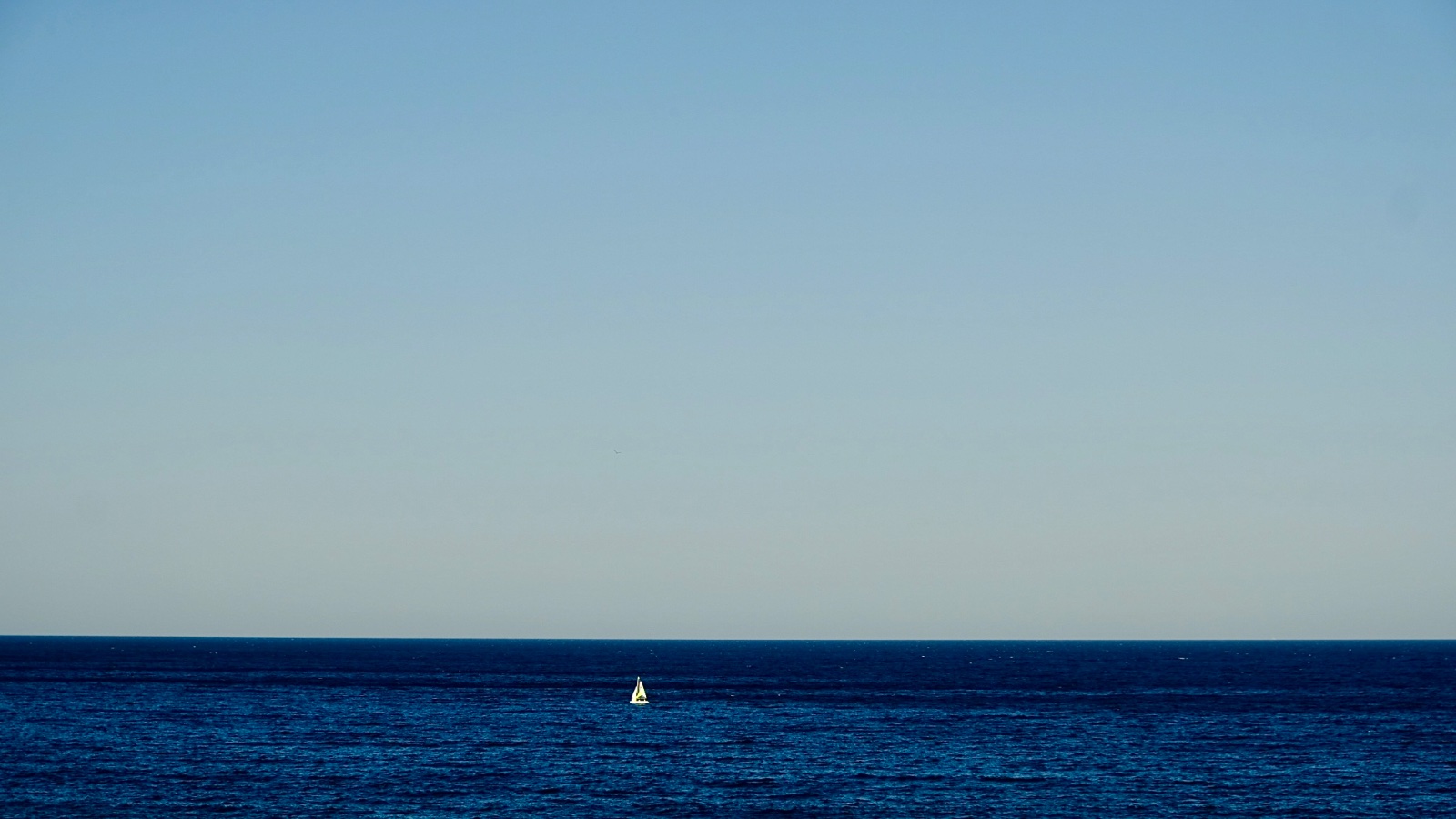 3552AE63-B71F-4925-BA2E-D7C09C019094-14891-00000409EC53D1E6.jpeg