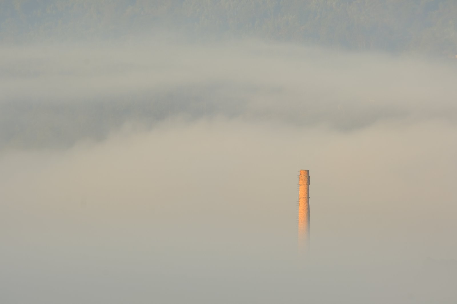 39. _X307354.JPG