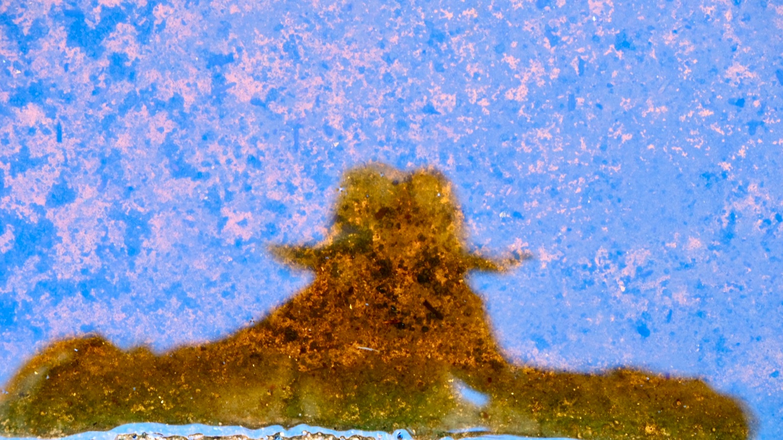4E67AD87-E806-44E3-9E35-EA84DC90E1B3-28403-00000897B9AF9F45.jpeg