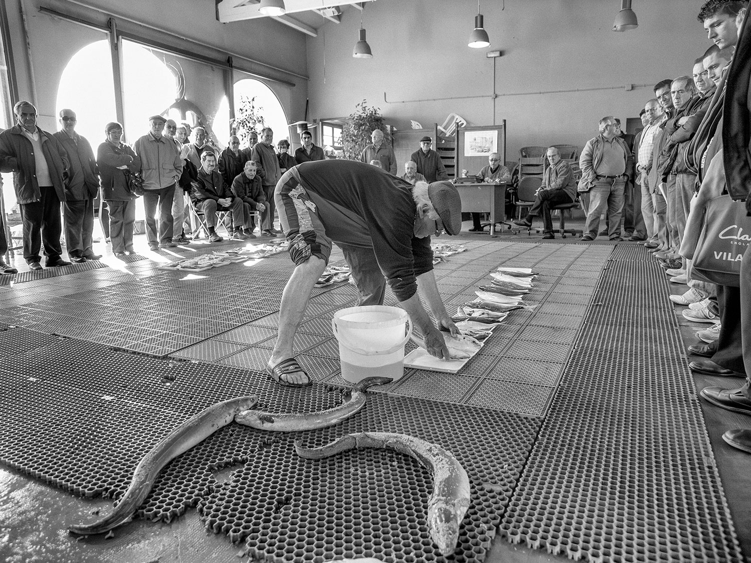 _2089251.jpg _2089251.jpg