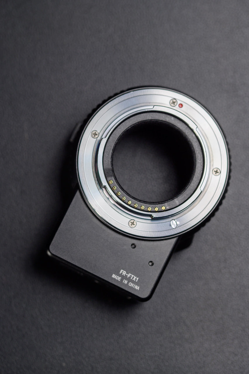 _AB40236.jpg _AB40236.jpg