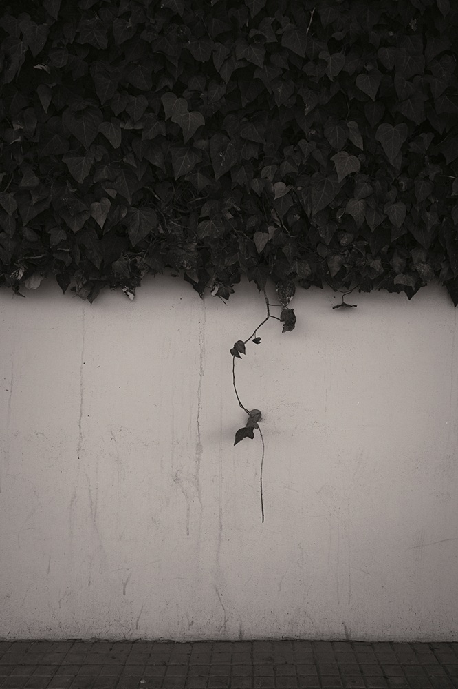 _DSF0443-Exposure.jpg