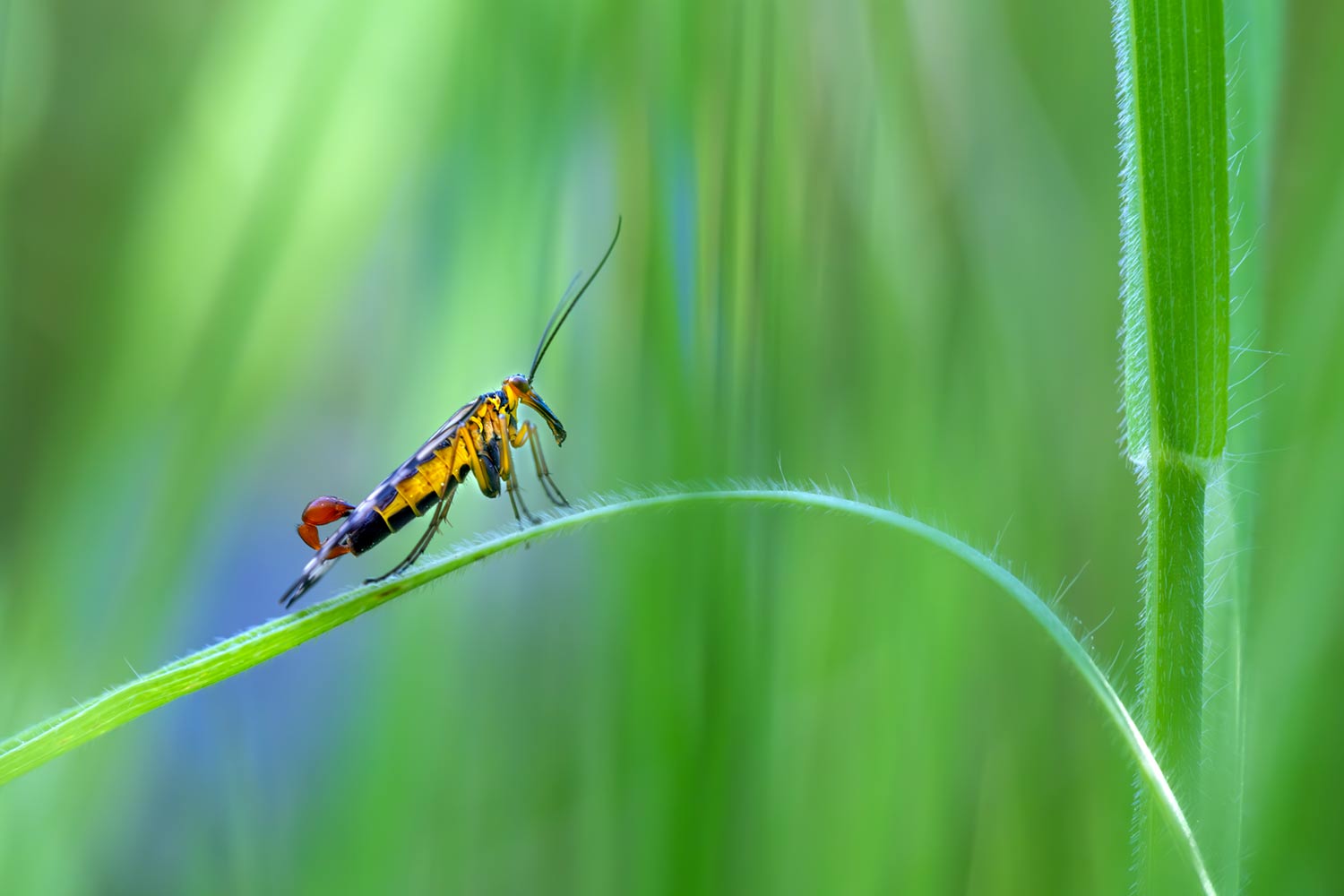 _DSF1762-Mejorado-NRF.jpg