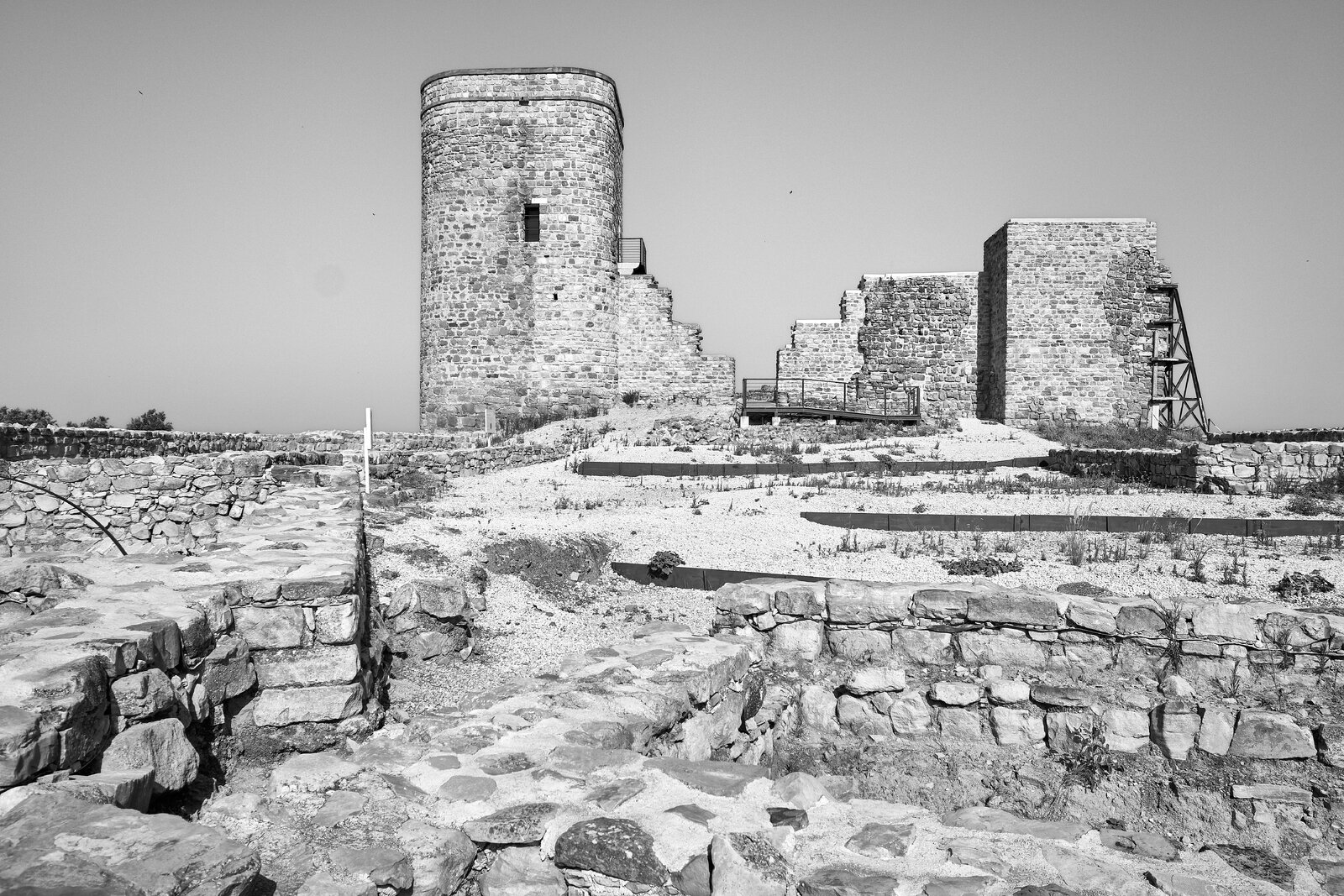 _DSF3299_1.jpg