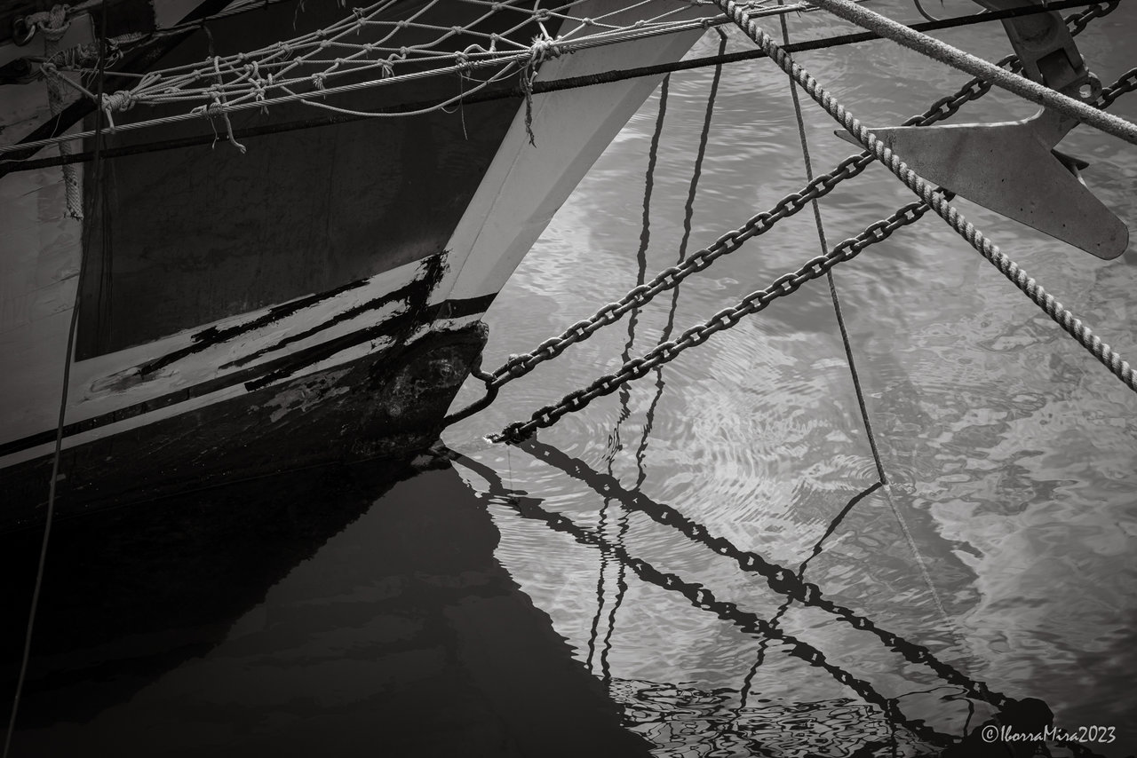 _DSF4016bnw.jpg