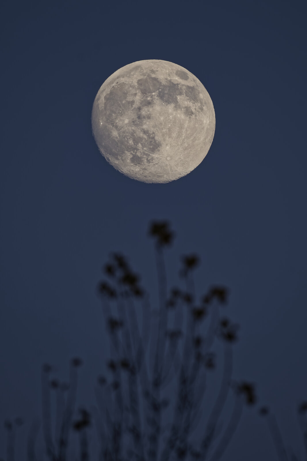 _DSF5778.jpg