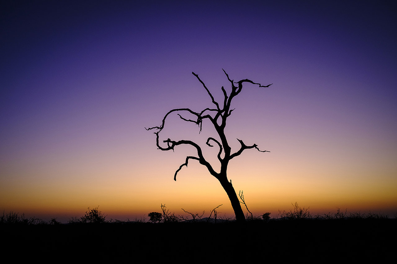 _DSF7022.jpg _DSF7022.jpg