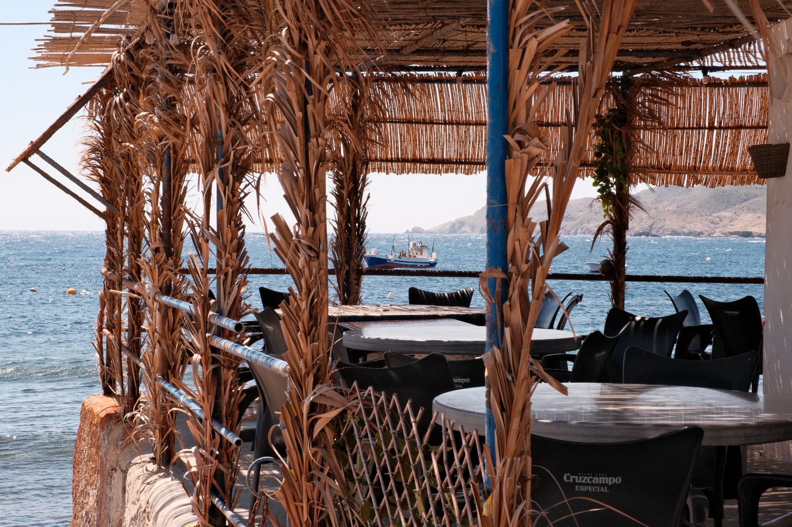 _DSF7650.JPG