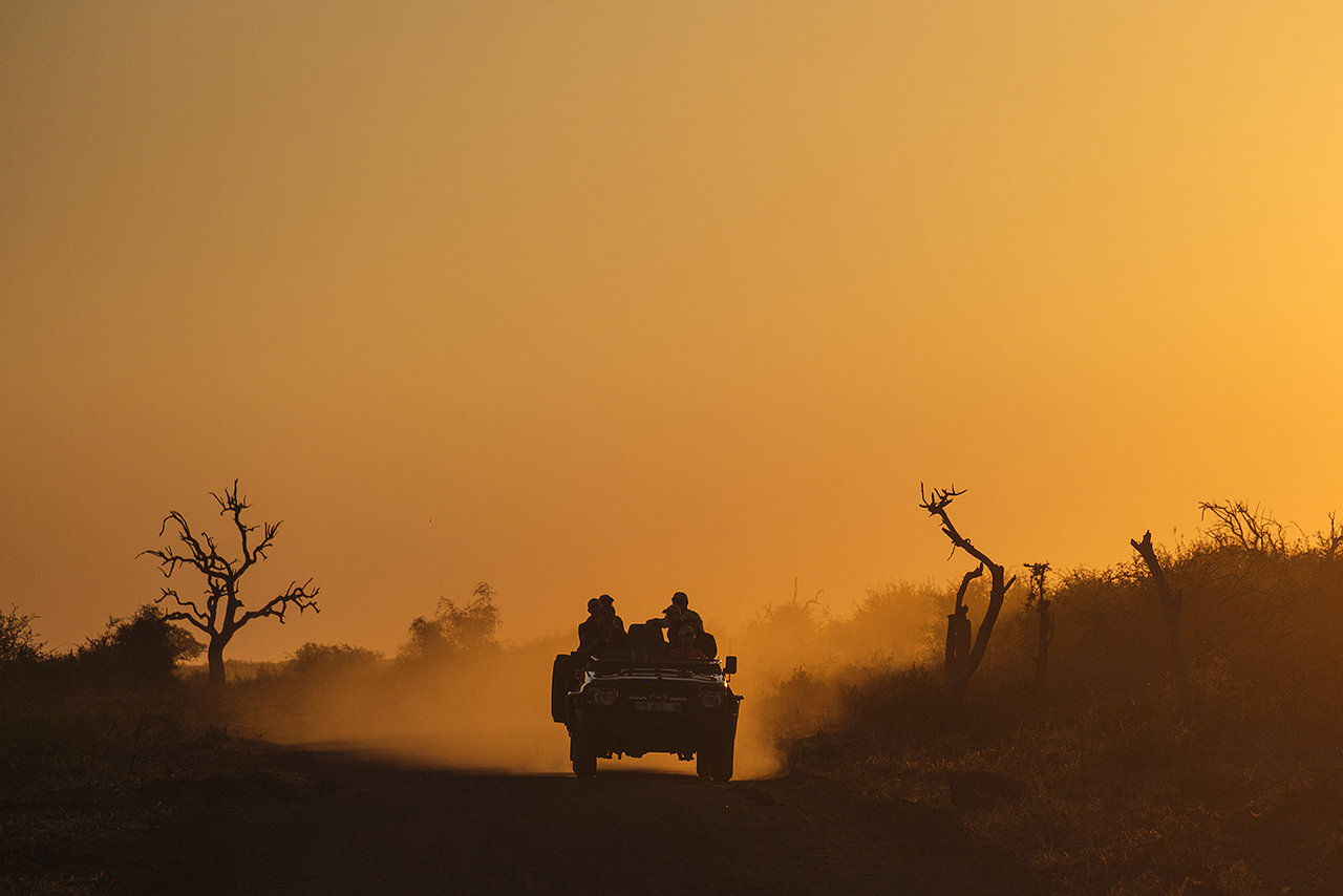 _DSF7940.jpg _DSF7940.jpg