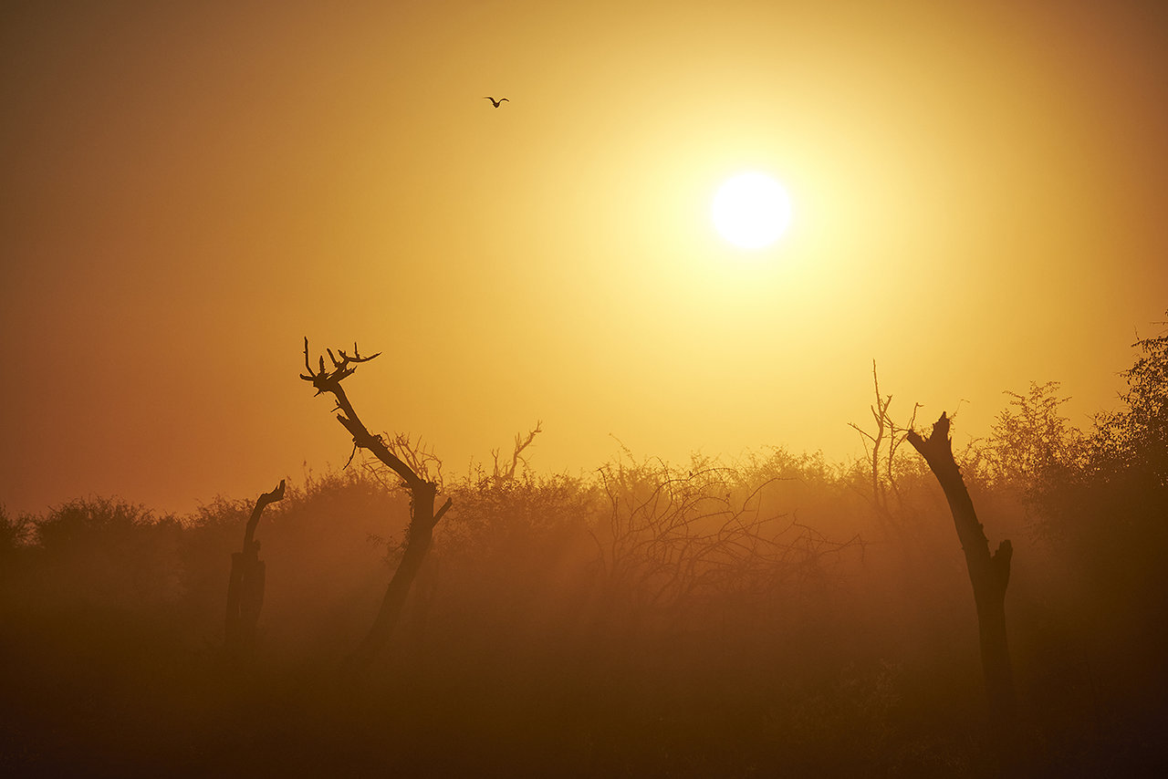 _DSF7956.jpg _DSF7956.jpg