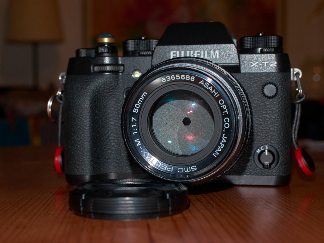 _DSF8337 f_cr.jpg