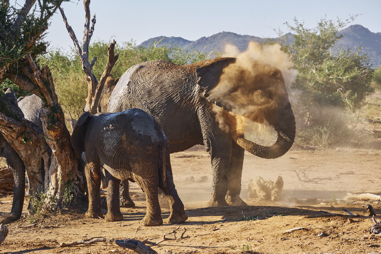 _DSF8731.jpeg _DSF8731.jpeg