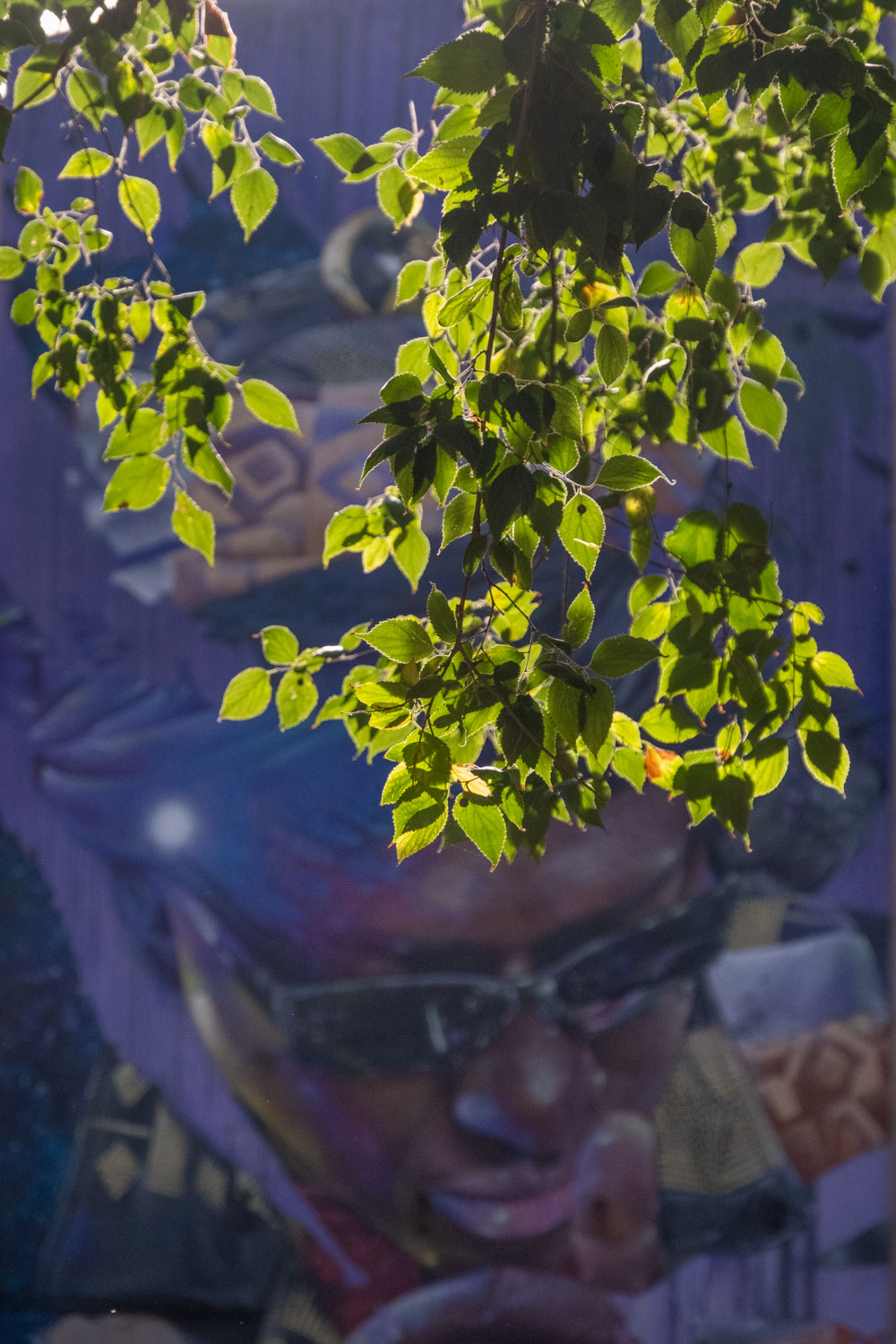 _DSF9610.jpeg _DSF9610.jpeg