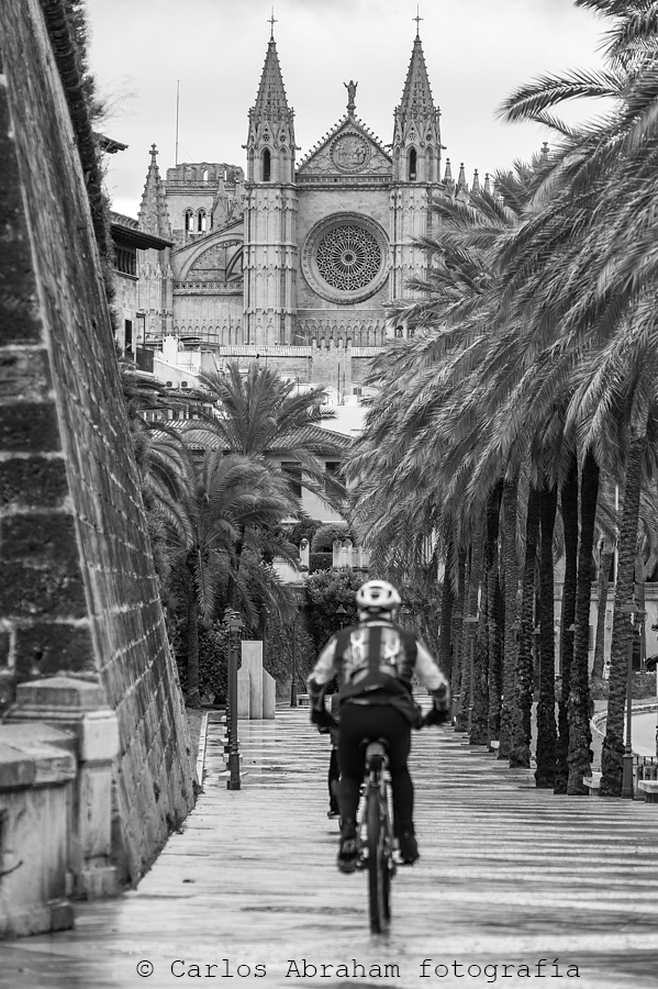 De camino a la catedral...