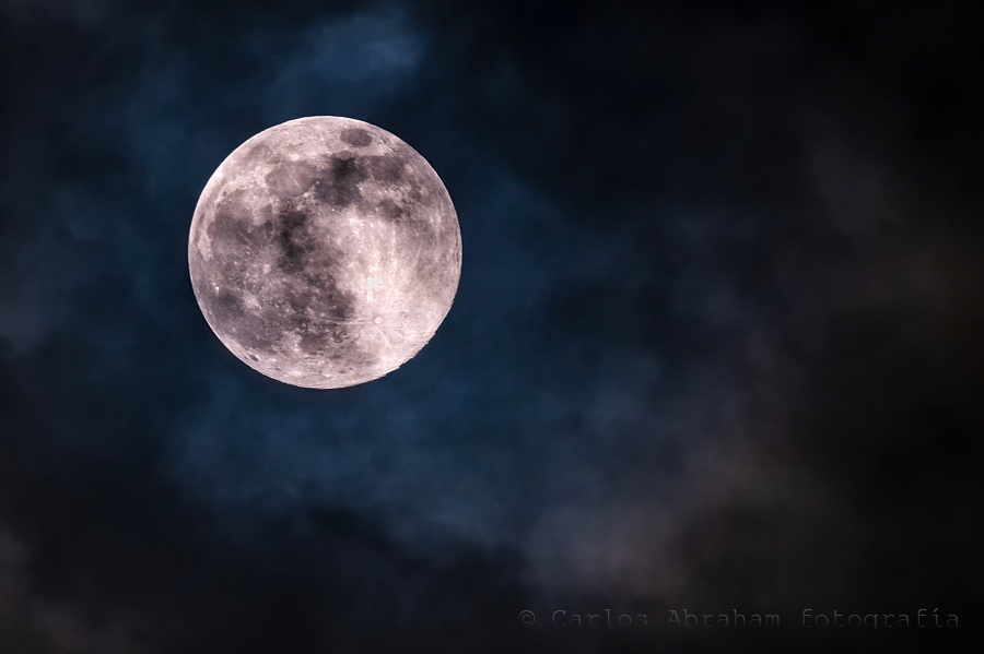 La reina de la noche de ayer