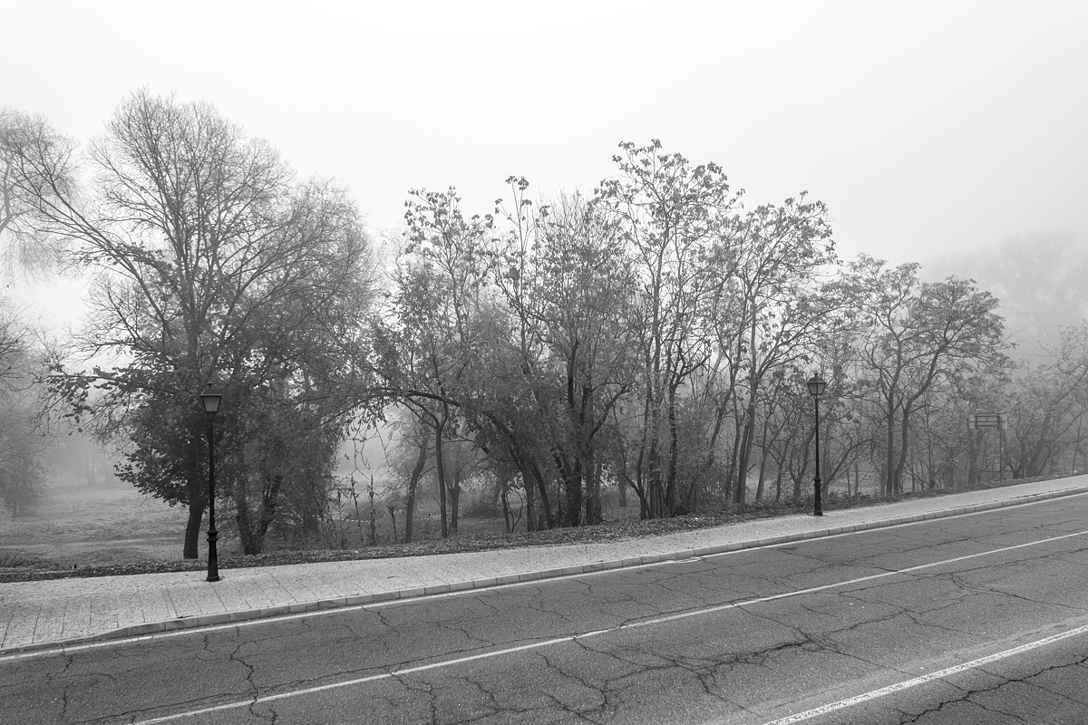 _KKY9941.jpg _KKY9941.jpg