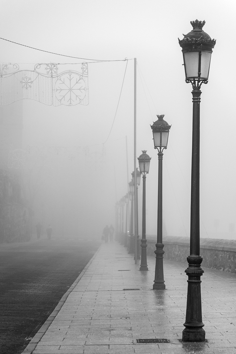 _KKY9959.jpg _KKY9959.jpg