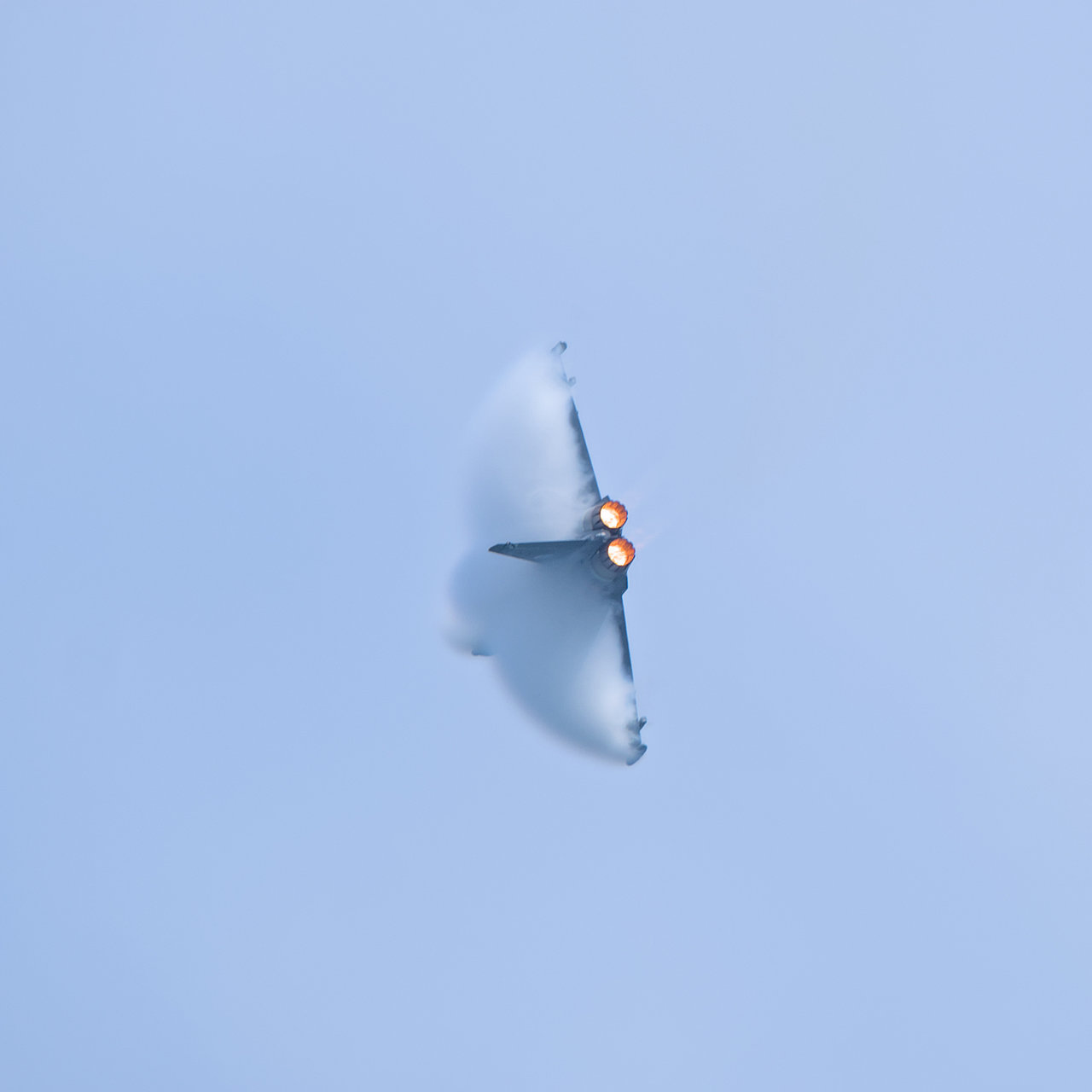 _X303597.jpg