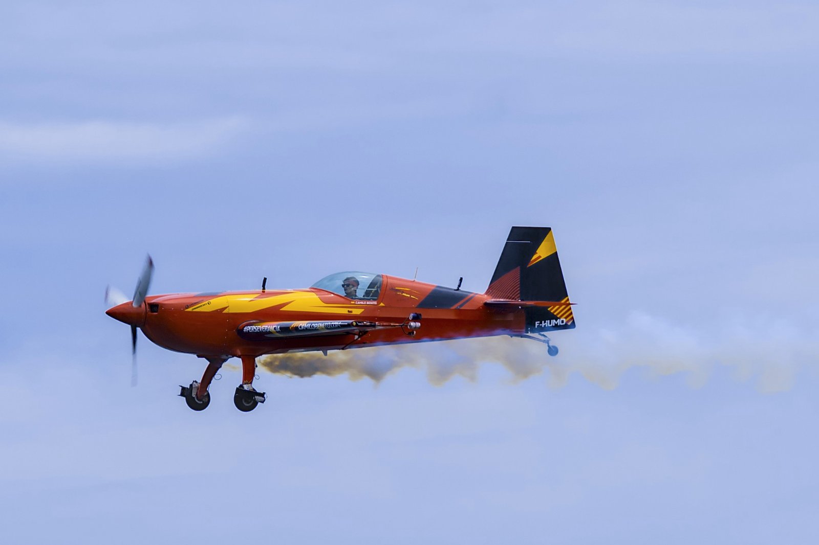 _X308825[DT].jpg