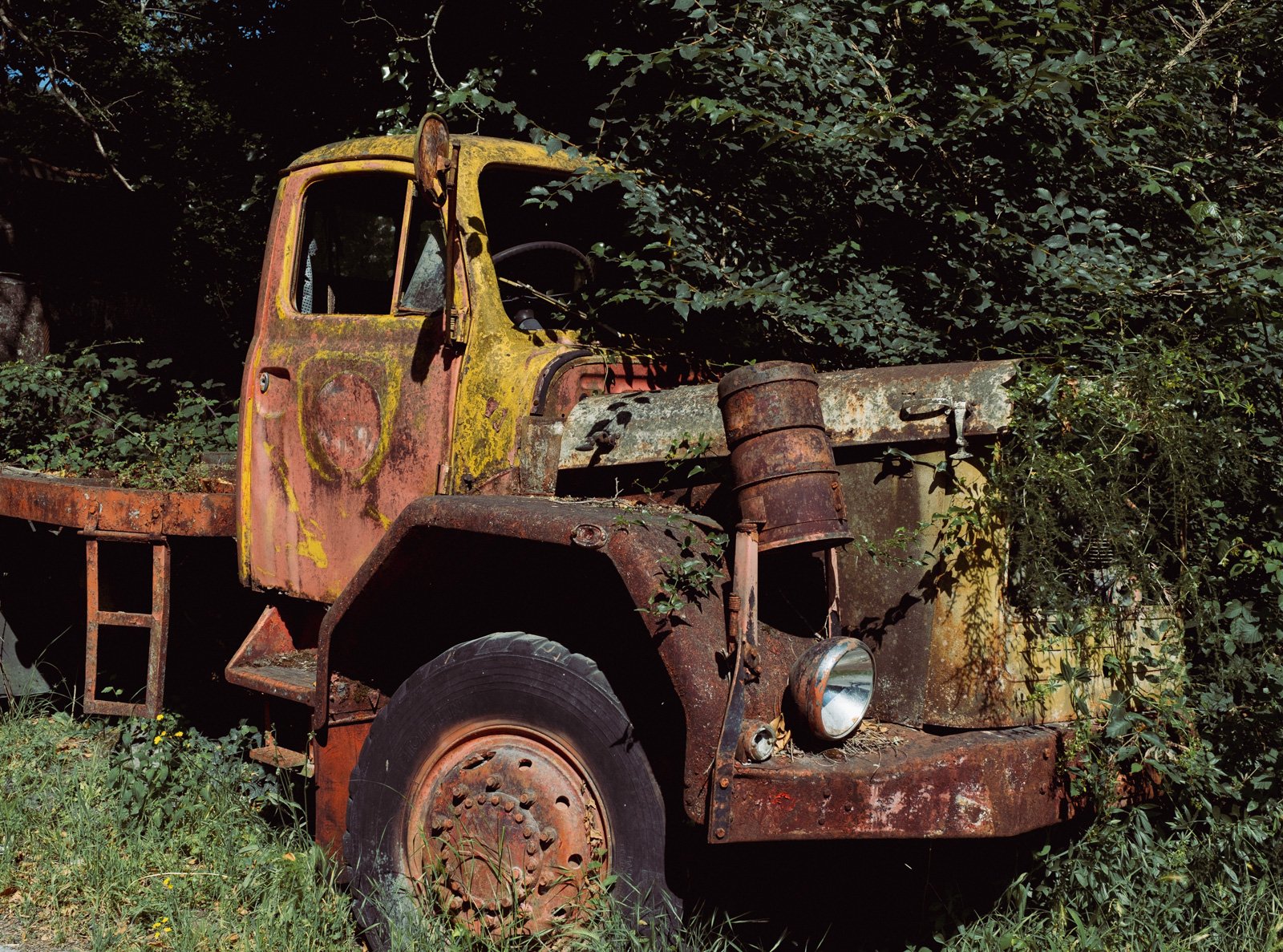 _XT59371.jpg