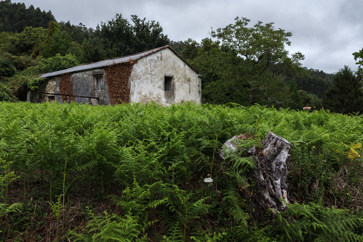 Abandono. Ferrol, 2020